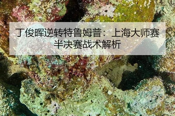 ding-jun-hui-ni-zhuan-te-lu-mu-pu-shang-hai-da-shi-sai-ban-jue-sai-zhan-shu-jie-xi-3-686.jpg