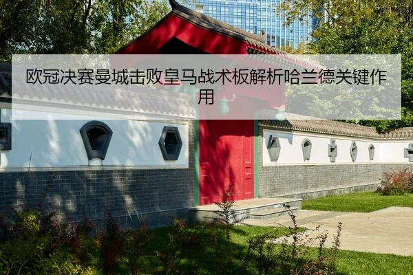ou-guan-jue-sai-man-cheng-ji-bai-huang-ma-zhan-shu-ban-jie-xi-ha-lan-de-guan-jian-zuo-yong-3-747.jpg