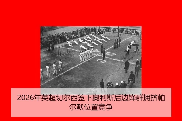 nian-ying-chao-qie-er-xi-qian-xia-ao-li-si-hou-bian-feng-qun-yong-ji-pa-er-mo-wei-zhi-jing-zheng-2-852.jpg